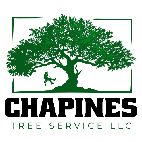 Chapines Tree Services